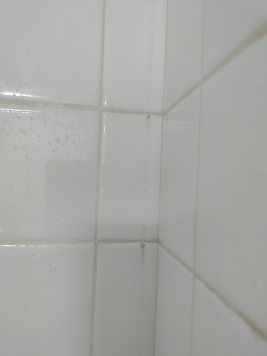 shower tile 1.jpg