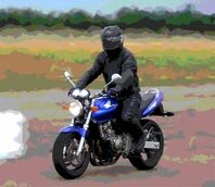 polblur-bike.jpg