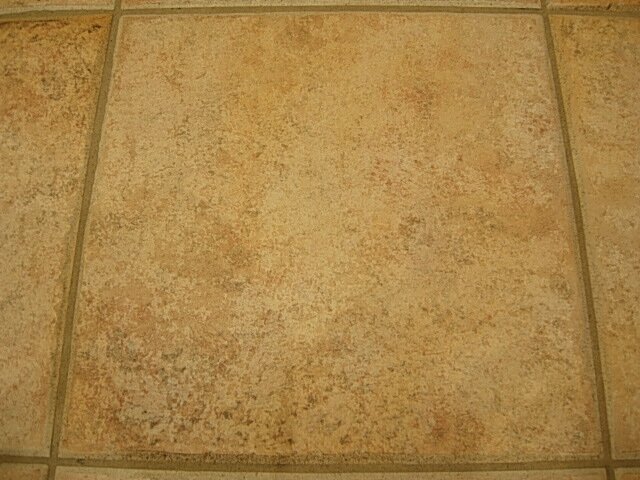 Pilkington Tile.JPG