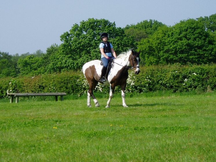 Horse photos 30-04-2011 006.jpg