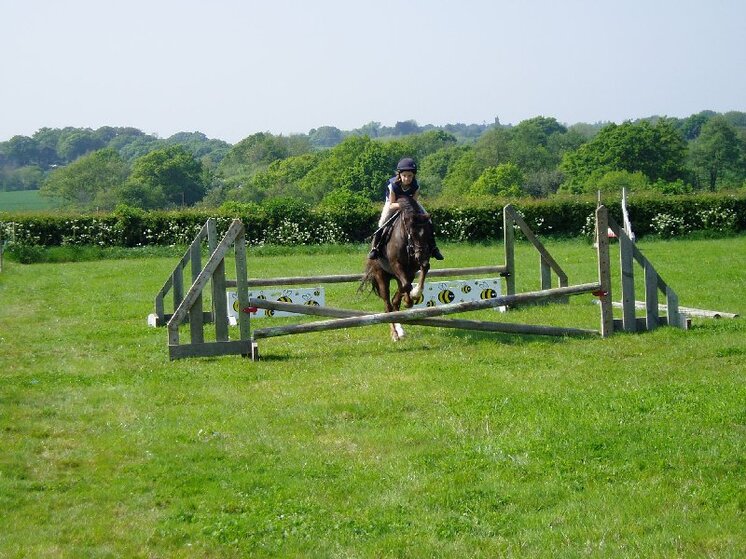 Horse photos 30-04-2011 013.jpg