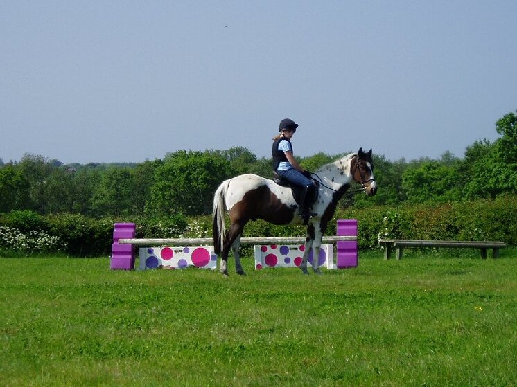 Horse photos 30-04-2011 009.jpg