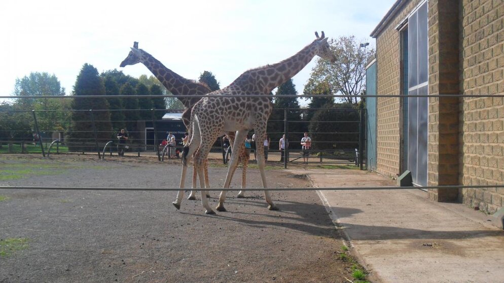 The Zoo 029.jpg