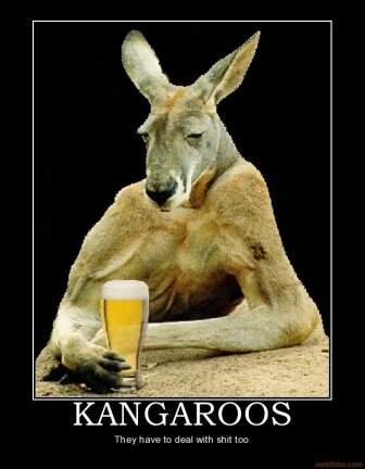 kangaroos-kangaroos-drinking-depressed-demotivational-poster-1262234081.gif.jpeg