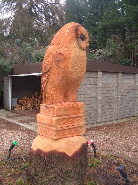 Tree Owl 001.jpg