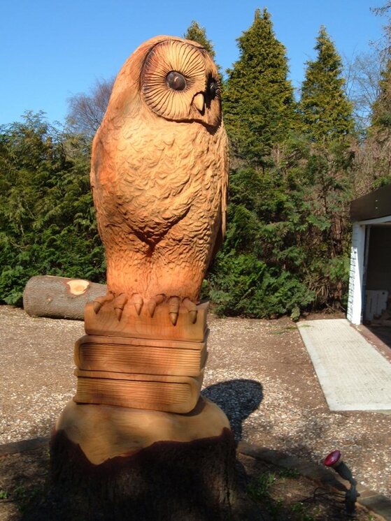 Tree Owl 002.jpg