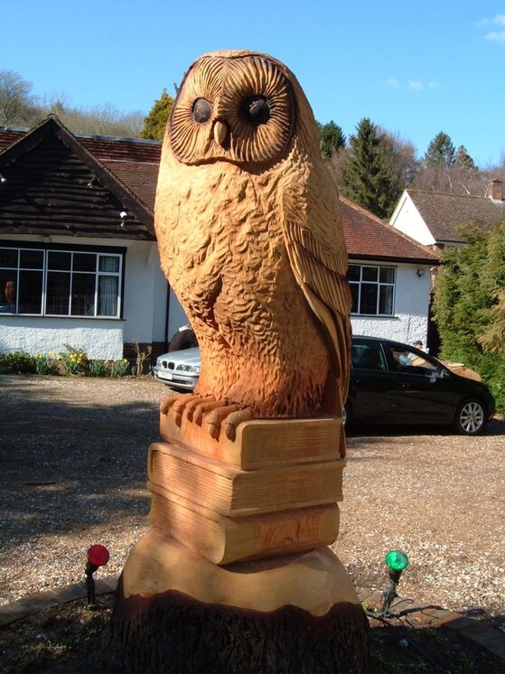 Tree Owl 003.jpg