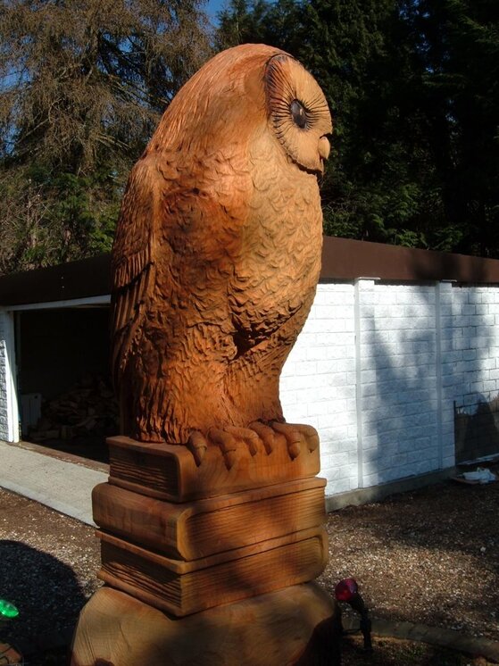 Tree Owl 006.jpg