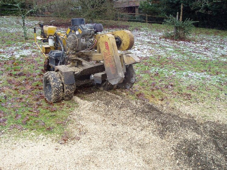 Stump grinding 012.jpg