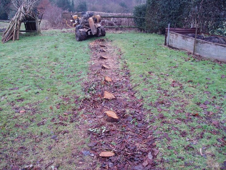 Stump grinding 019.jpg