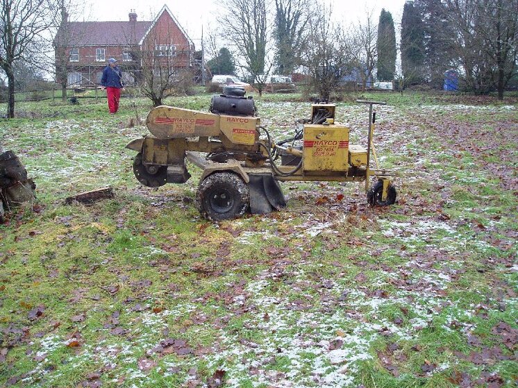 Stump grinding 007.jpg