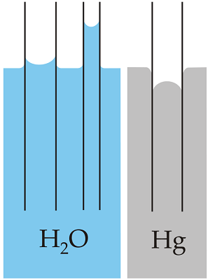 549px-capillarity.svg.png