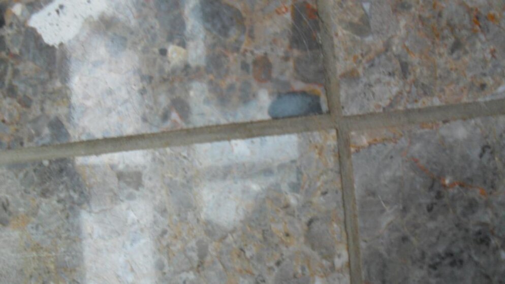 Grout 020.jpg