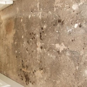 kitchen - concrete