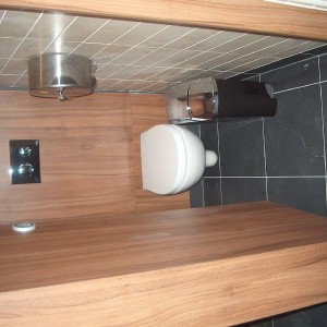 Commercial loo re-furb