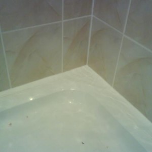 plastic bath seal on a shower tray, not so sure, but that's what the wanted.