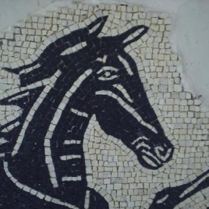 Sea Horse, deatail from baths of Neptune mosaic. 5mm