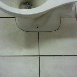 SIDE VIEW OF FINISHED CUT ROUND THE TOILET