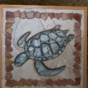 TURTLE 25 227x203