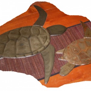 turtles for swimming pool- biger one is over 18" shell