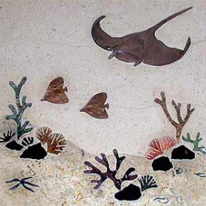 manta ray  reef mural