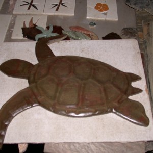 big overlay turtle