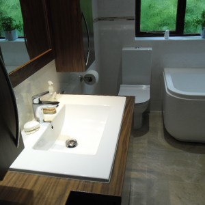 Large Bathroom 001