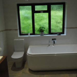 Large Bathroom 006