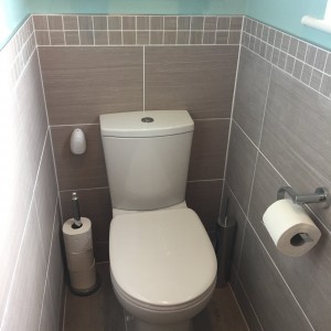 Small toilet refurbishment