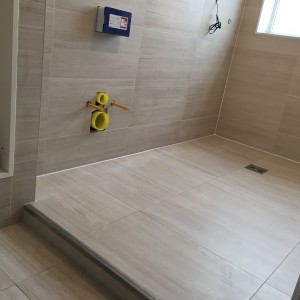 Ensuite wetroom