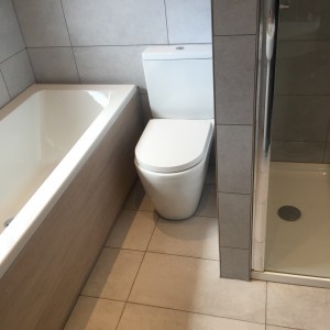 Toilet and Double Ended Bath