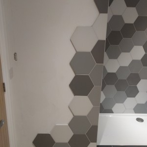 Hex Tiles From Shower