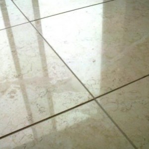 Highly polished limestone.  I had to remove a white wine mark that had acid etched the polish off (you can see part of it on the left tile - it went all the way across to the right tile too).  Basically, using diamond pads after neutralising the mark, the tile was repolished and then sealed with an impregnating sealer for polished surfaces.