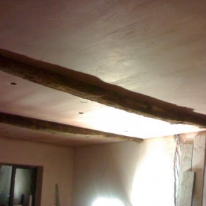 ceiling plastered