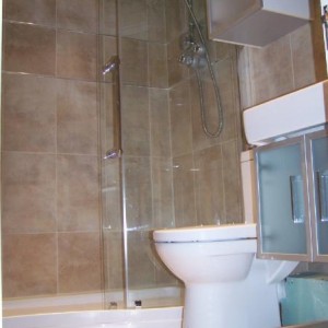 shower wc basin