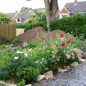 garden 6 - more soil to raise the garden