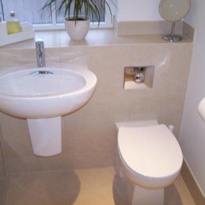 basin wc