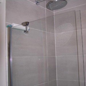 shower screen ceiling rose