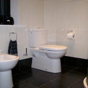 bidet basin floor