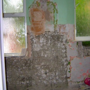 west wall behind basin:  from floor on LHS:  (light grey)cement render, (pink then green) lime plaster to ceiling. on RHS, behind WC, lime plaster to ceiling.