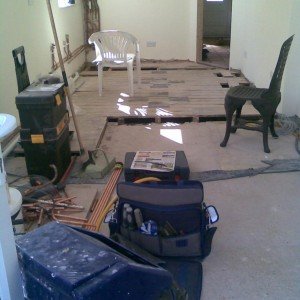 in back door looking into kitchen and hallway