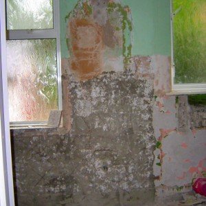 west wall behind basin:  from floor on LHS:  (light grey)cement render, (pink then green) lime plaster to ceiling. on RHS, behind WC, lime plaster to ceiling.