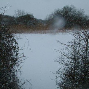 the nook fishery, view from my swim