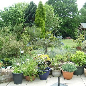 Garden 20052011.jpg