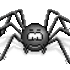 black-spider-walking.gif