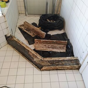 Rotted old school shower.jpg