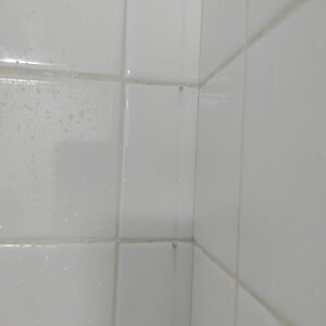 shower tile 1.jpg