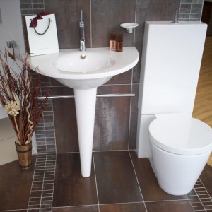 Guess how much for the toilet?...............£1000!
The plumber said that it would cost alot to install it aswell cause it would be so difficult.