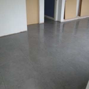 Gray 600 X 600 Porcelain 002