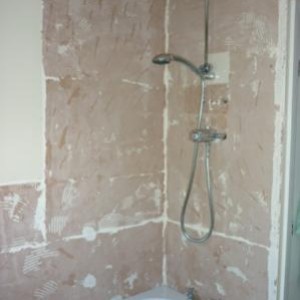 Just the shower to remove,  then "tank and tile"